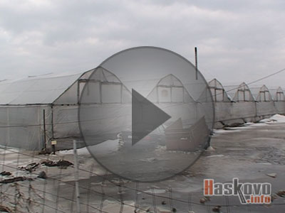 Възстановяват дигата