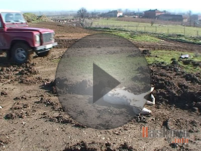 Труп на коза паникьоса село