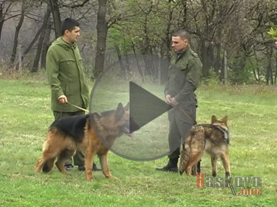 Четириногите полицаи със своите водачи