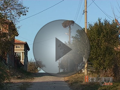 Щъркел през ноември