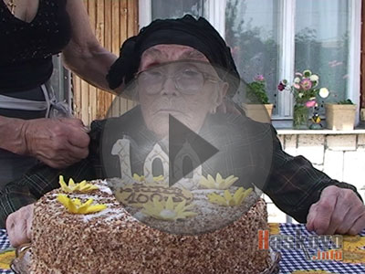 Столетница