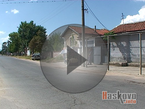 Тиква гигант