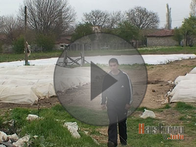 Тютюнът загива