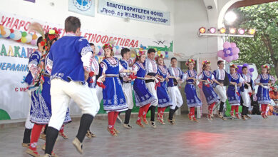 Фестивал
