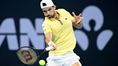 Григор Димитров