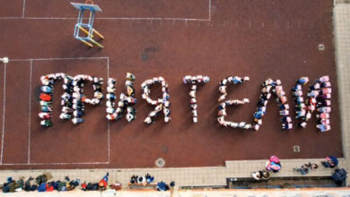 Розова фланелка