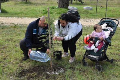 Залесяване