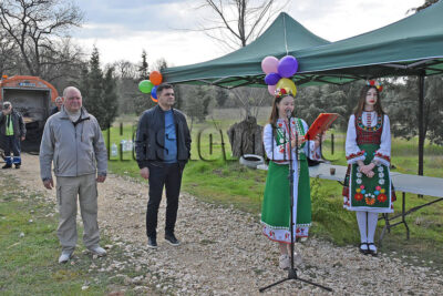 Залесяване