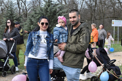 Залесяване