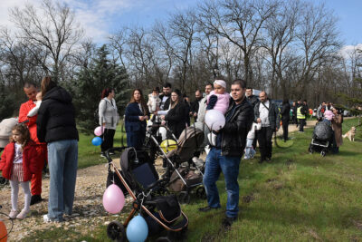 Залесяване