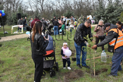Залесяване