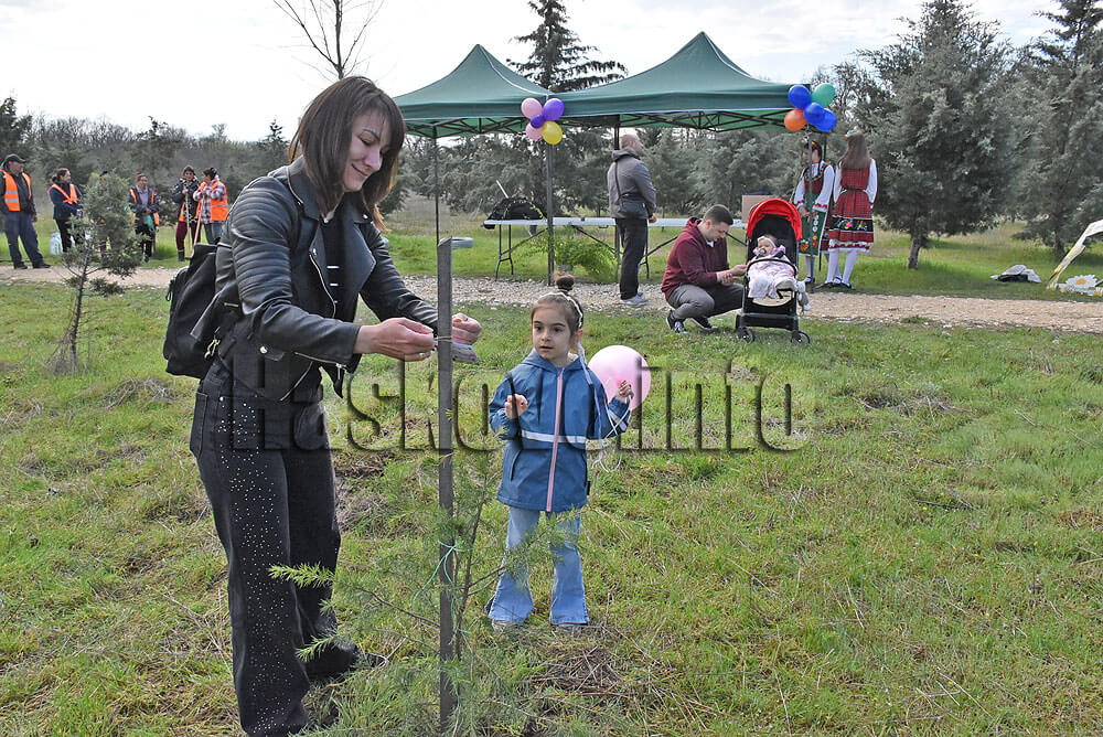 Залесяване