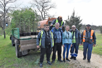 Залесяване