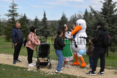 Залесяване