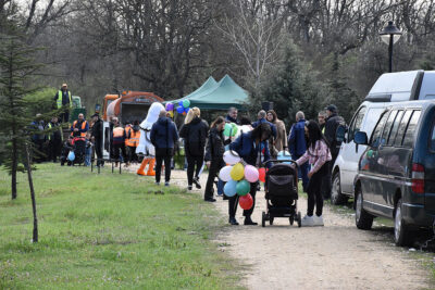 Залесяване