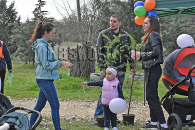 Залесяване