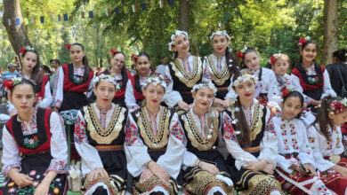 Фест