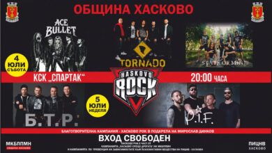 Фестивал