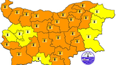 Оранжев код