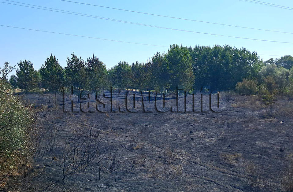 Пожар
