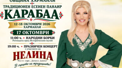 Панаир