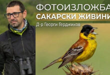 Изложба