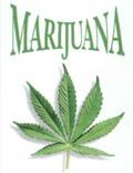 Марихуана