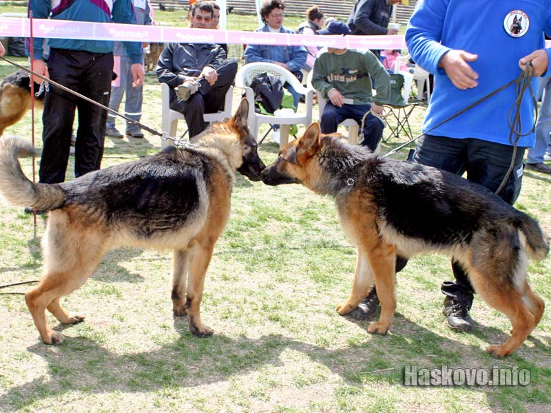 Киноложка изложба, архив