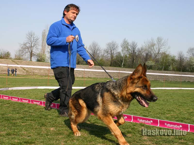 Киноложка изложба Киноложка изложба