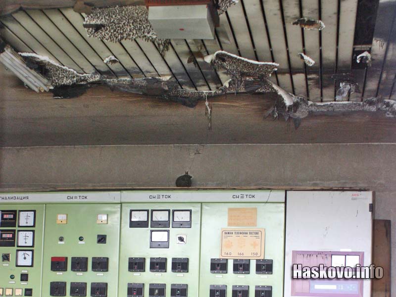 Снимка: Георги Даскалов