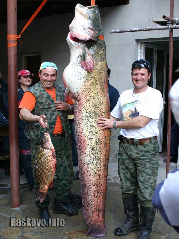 Николай и Пламен със сома