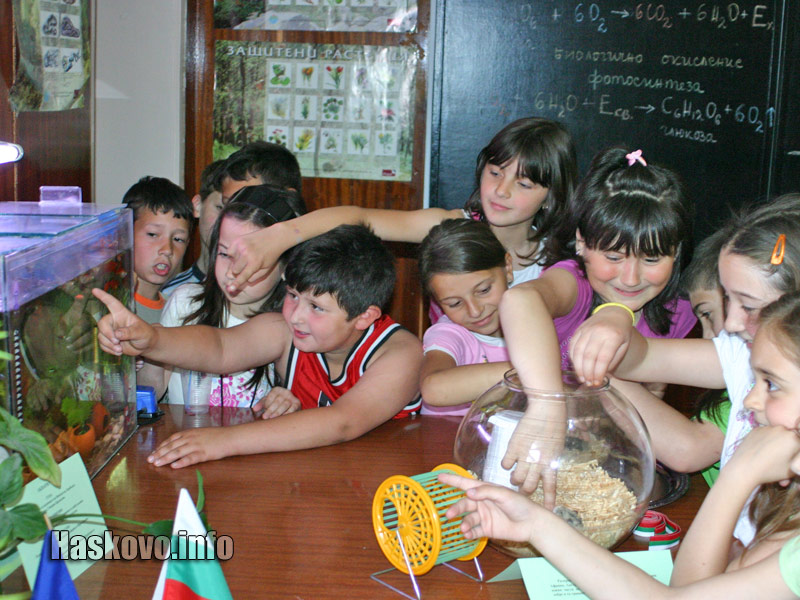 Зоокътът Зоокътът