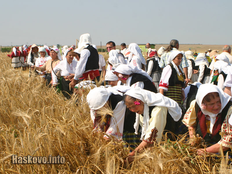 Жътвата Жътвата