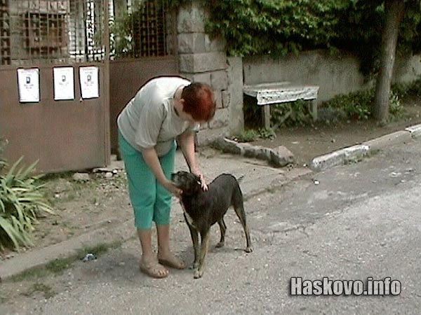 Мария Димчева със своето куче