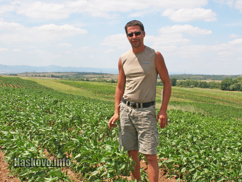 Драгомир Матеин с биочушките