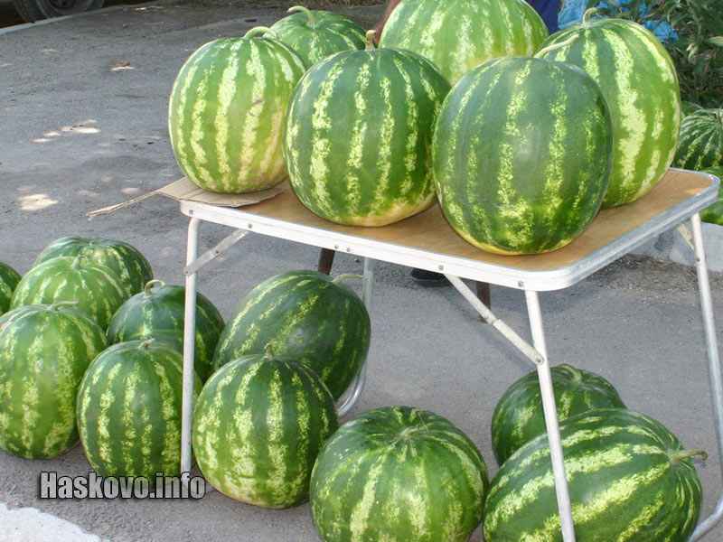 Интернационалните дини Интернационалните дини