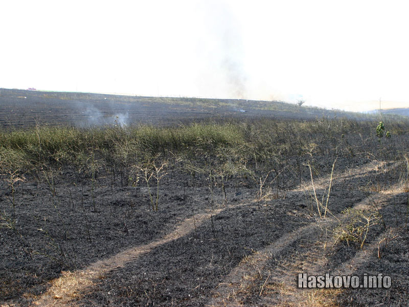 Пожар край Горски Извор, унищожил стотици декари жито