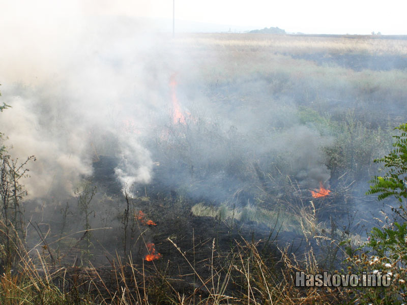 Пожар в нива