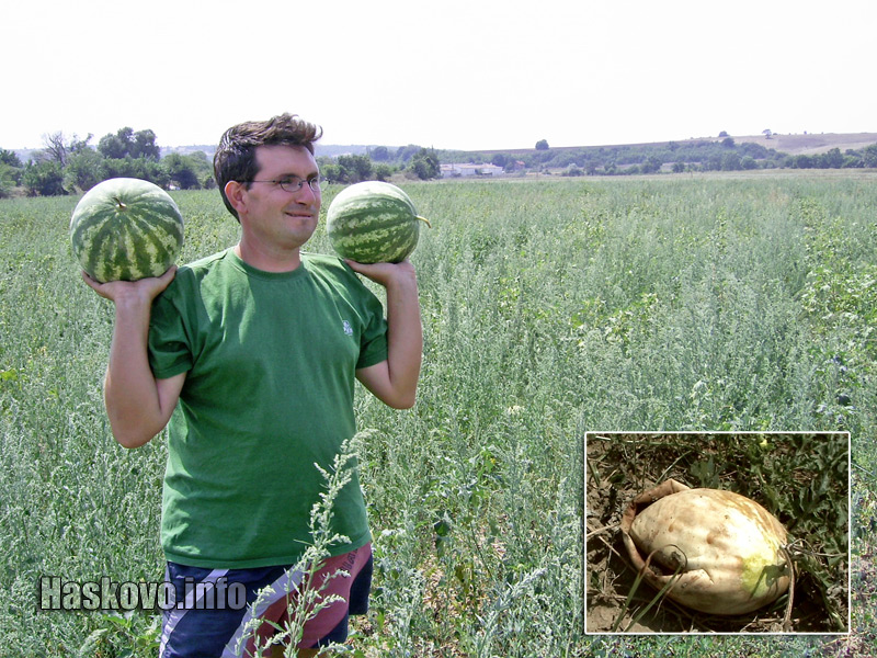 Иван Богоев