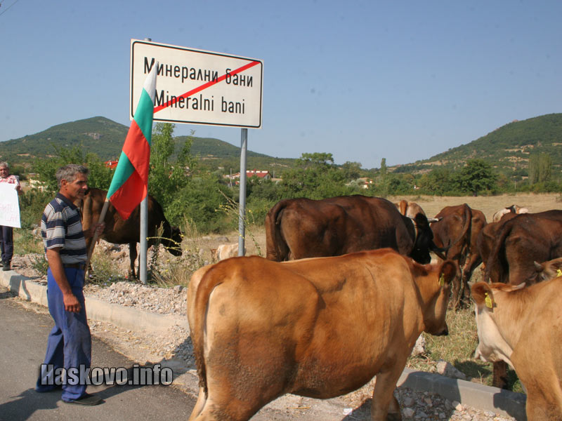 Протест Протест