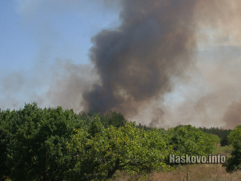 Пожарът край Свиленград / Снимка: Георги Даскалов 