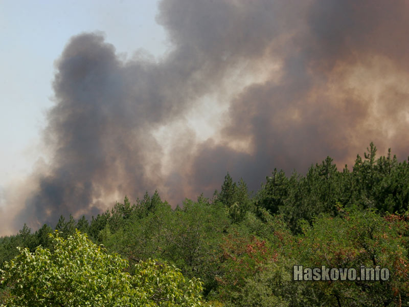 Пожарът край Свиленград / Снимка: Георги Даскалов 