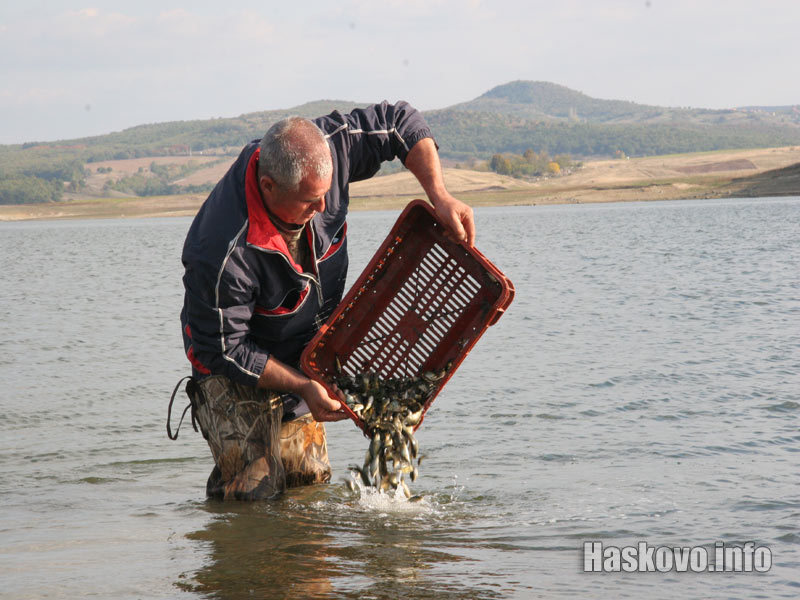 Зарибяване