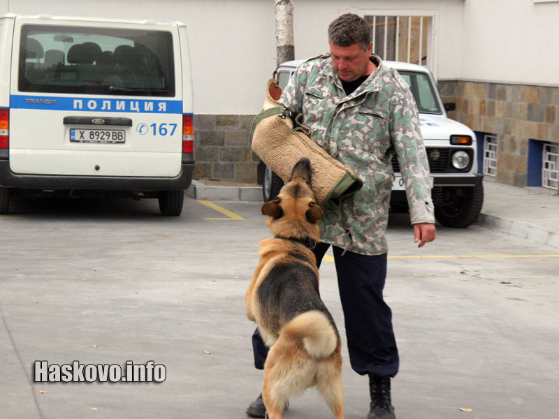 Демонстрации в полицията с кучета Демонстрации в полицията с кучета