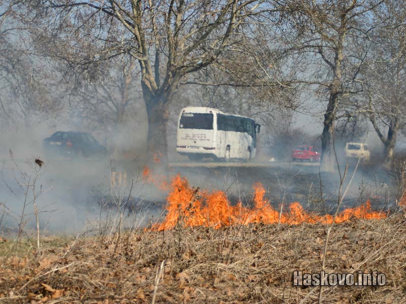 Пожар в трева