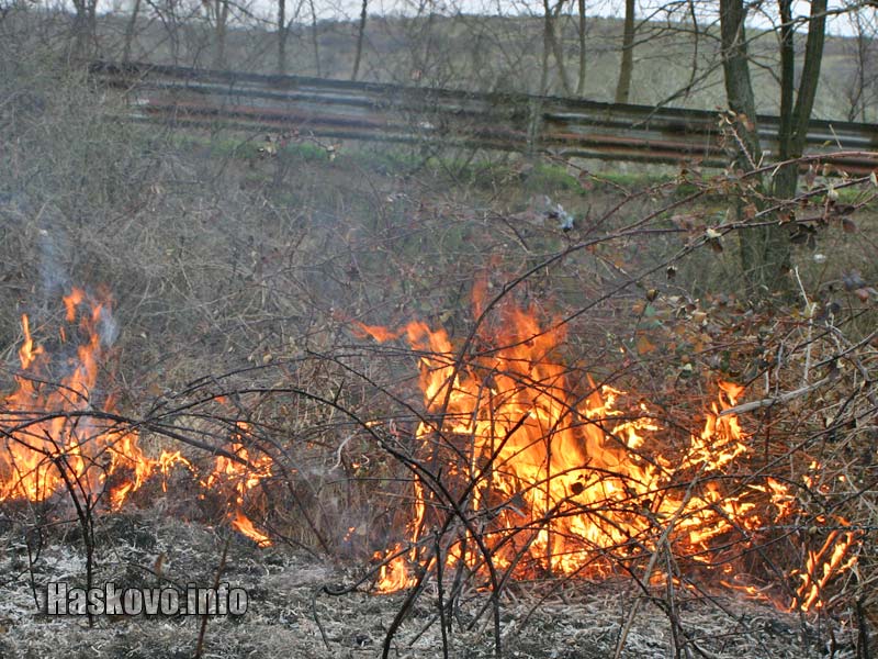 Огънят застраши шосето