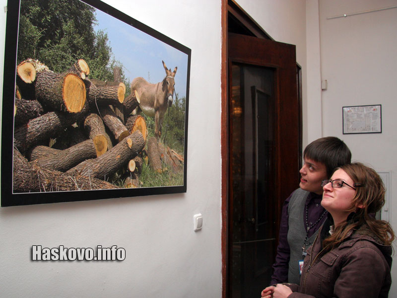 Снимки от изложбата Снимки от изложбата