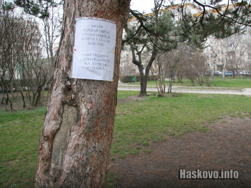 Листовете с надпис