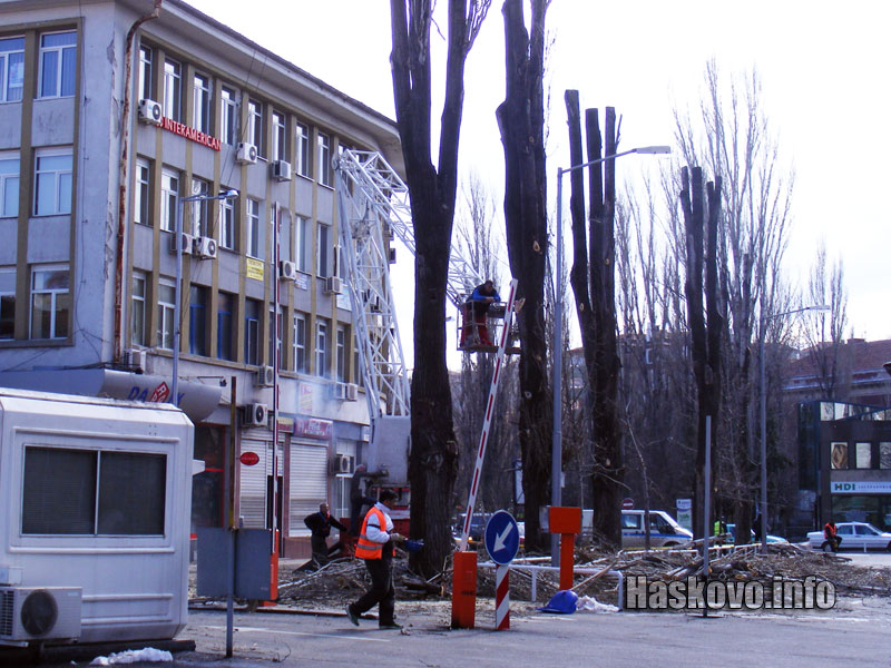 Санитарната сеч до печатницата Санитарната сеч до печатницата