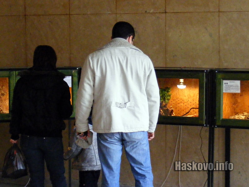 Зрители на изложбата